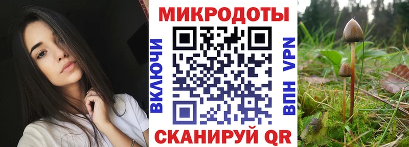 Галлюциногенные грибы Psilocybe купить наркотики сайты Симферополь